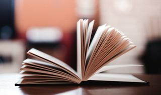 汤小米王洋个人资料 汤小米王洋个人资料